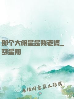 那个大明星是我老婆