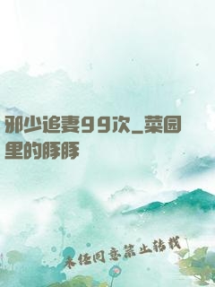 邪少追妻99次