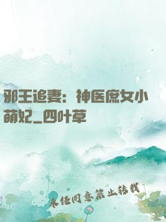 邪王追妻：神医庶女小萌妃