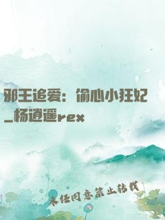 邪王追爱：偷心小狂妃