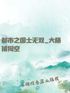 都市之国士无双