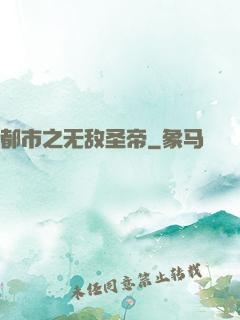 都市之无敌圣帝