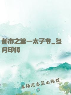 都市之第一太子爷