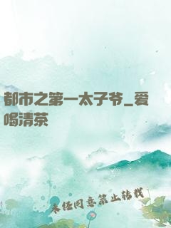 都市之第一太子爷