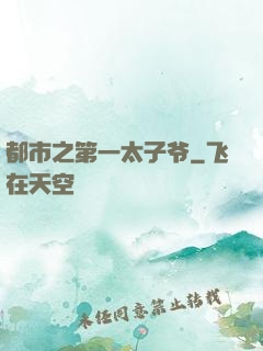 都市之第一太子爷