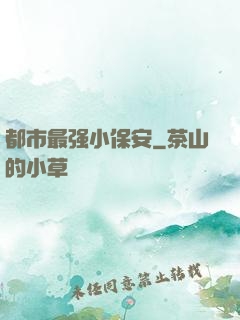 都市最强小保安