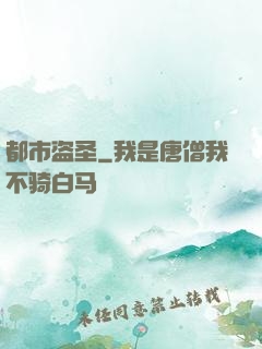 都市盗圣
