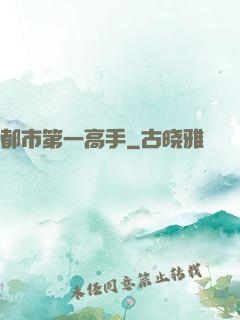 都市第一高手
