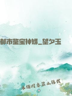 都市鉴宝神婿
