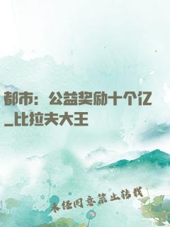 都市：公益奖励十个亿