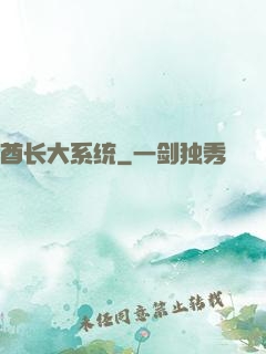 酋长大系统