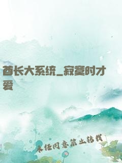 酋长大系统