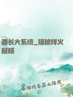 酋长大系统