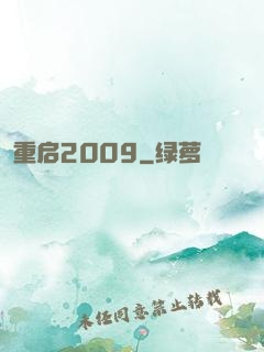 重启2009