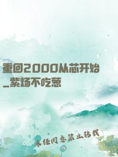 重回2000从芯开始