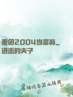 重回2004当富翁