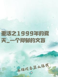重活之1999年的夏天