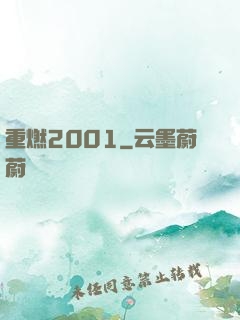 重燃2001
