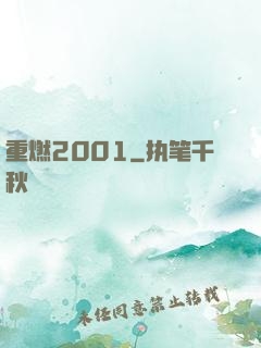 重燃2001