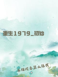 重生1979