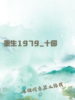 重生1979