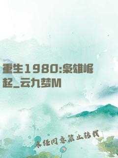 重生1980:枭雄崛起