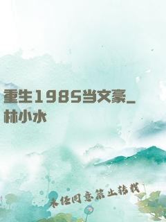 重生1985当文豪