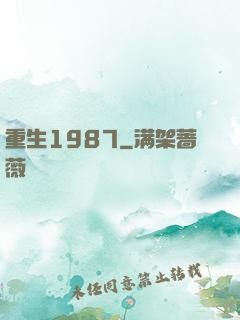重生1987
