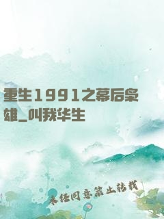 重生1991之幕后枭雄