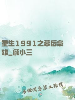 重生1991之幕后枭雄