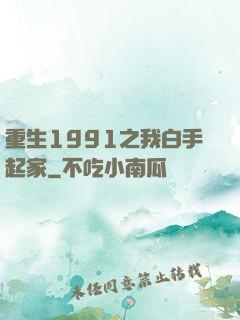 重生1991之我白手起家