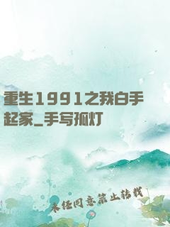 重生1991之我白手起家