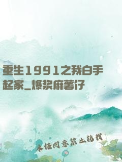 重生1991之我白手起家