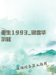 重生1993