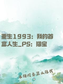 重生1993：我的首富人生