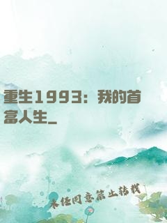 重生1993：我的首富人生