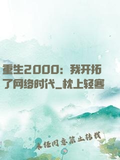 重生2000：我开拓了网络时代