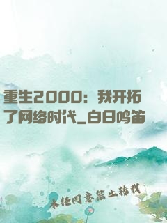 重生2000：我开拓了网络时代