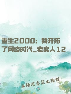 重生2000：我开拓了网络时代