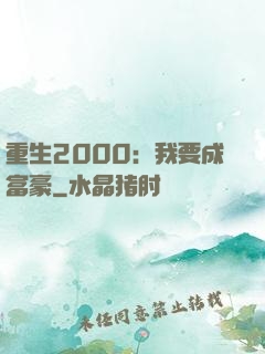 重生2000：我要成富豪