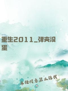 重生2011