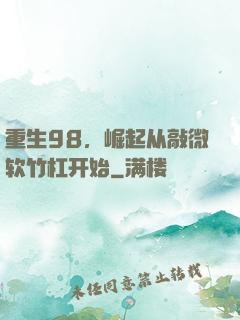 重生98，崛起从敲微软竹杠开始