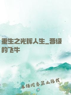 重生之光辉人生
