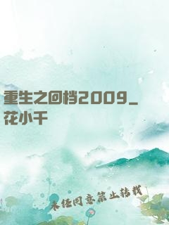 重生之回档2009
