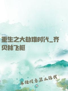 重生之大劫难时代