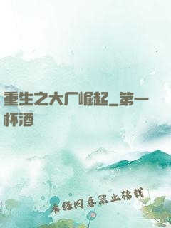 重生之大厂崛起