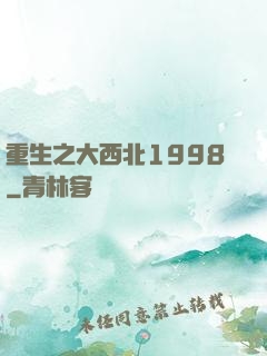 重生之大西北1998