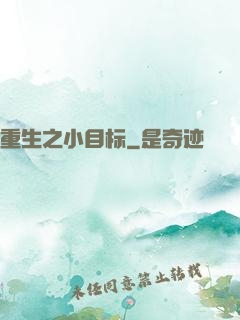 重生之小目标