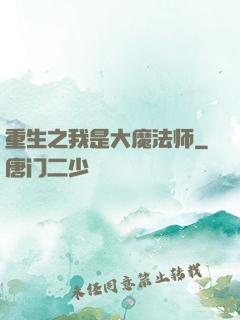 重生之我是大魔法师