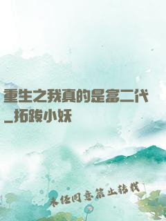 重生之我真的是富二代
